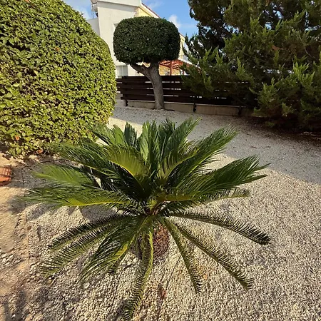 Villa Lilly *