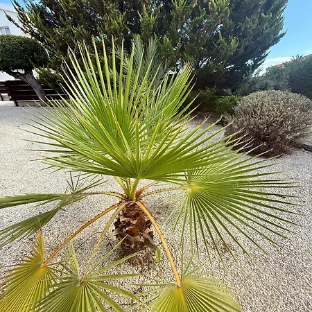 Βίλα Lilly Πέγεια